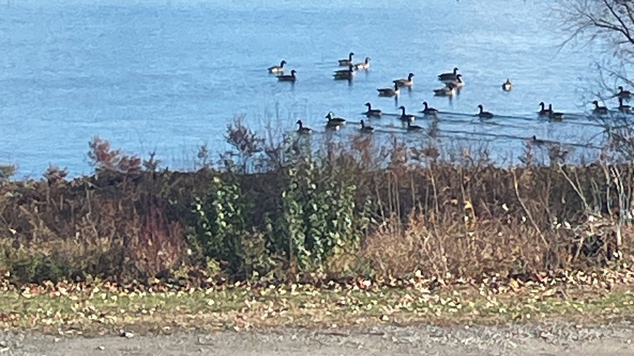 Photo of Others in Crown Point
