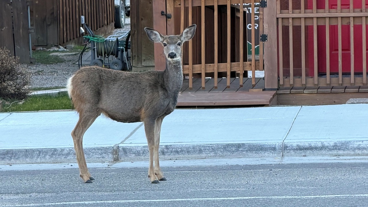 Photo of Others in Red River