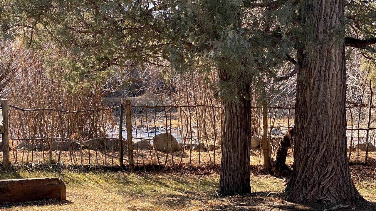 Photo of Others in Pecos