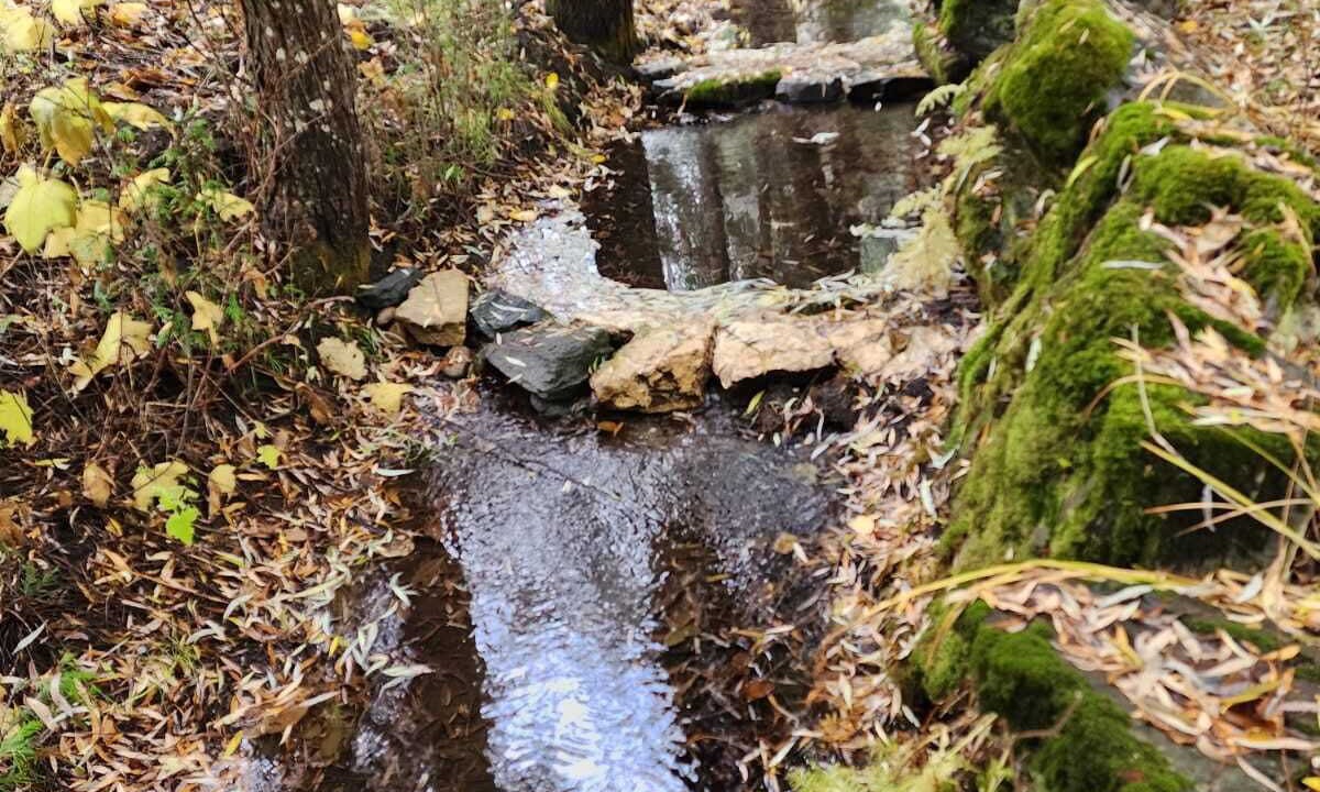 Photo of Outdoor in Magna bay