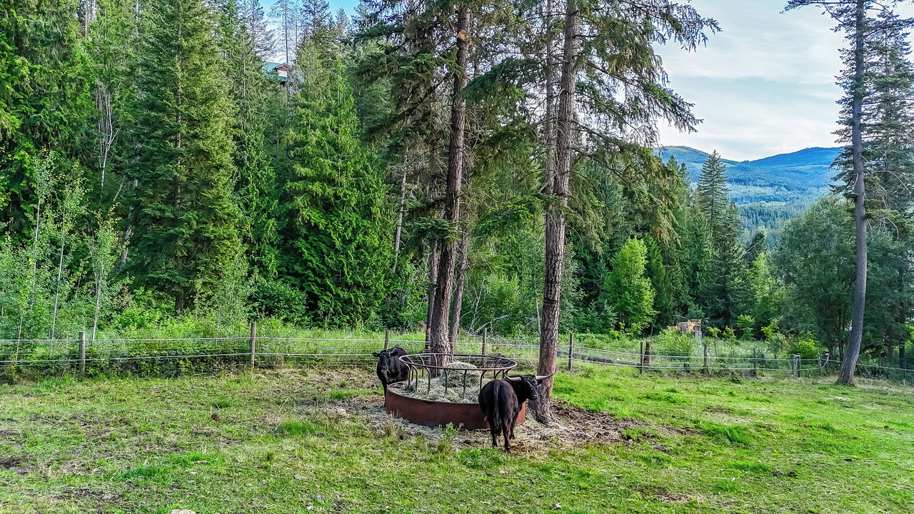 Photo of Others in Thompson Okanagan