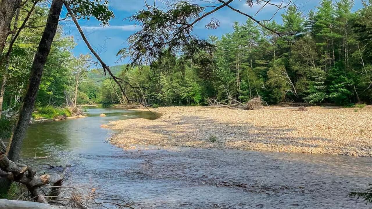 Photo of Others in Birchview by the Saco