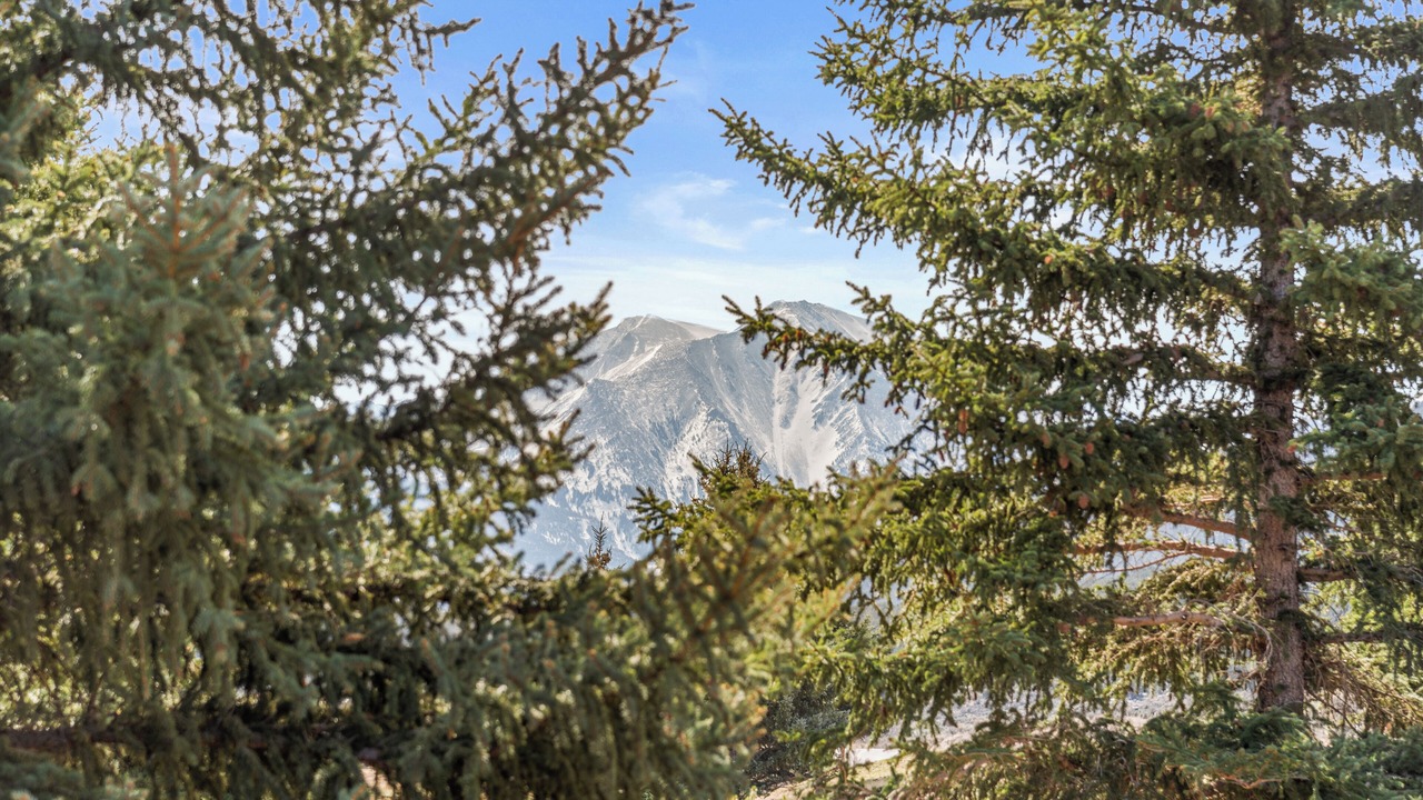 Photo of Others in Aspen Glen