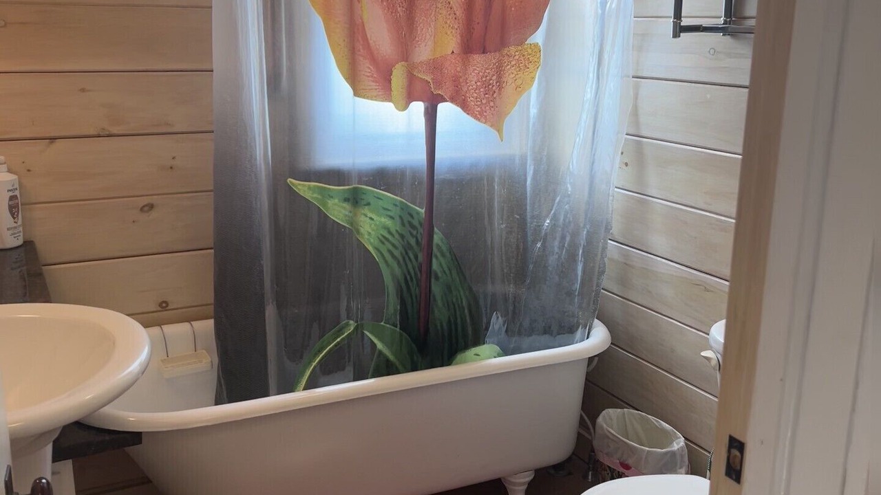 Photo of Bathroom in Proctor