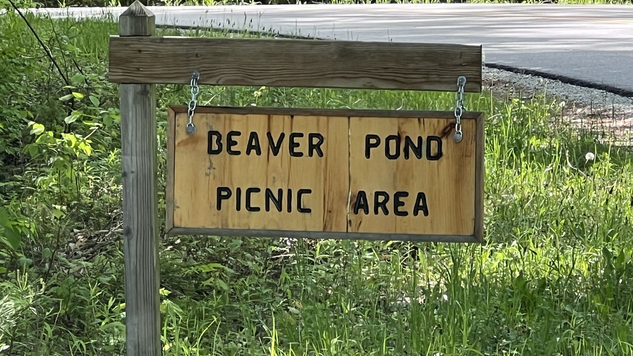 Photo of Others in Proctor