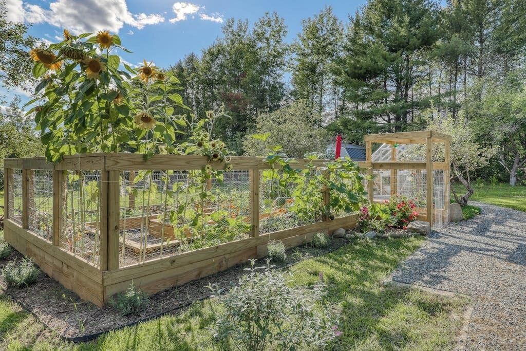 Photo of Outdoor in Bethlehem