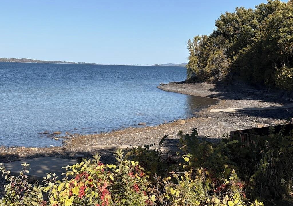 Photo of Others in Malletts Bay