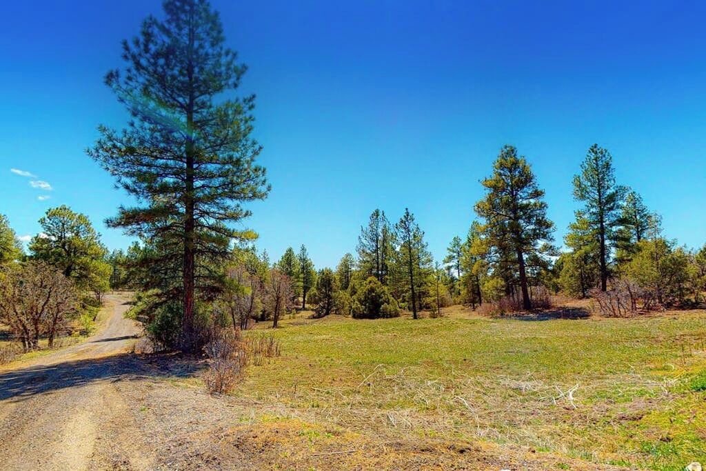 Photo of Others in Pagosa Meadows IV