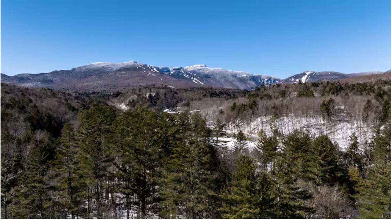 Photo of Others in Hinesburg