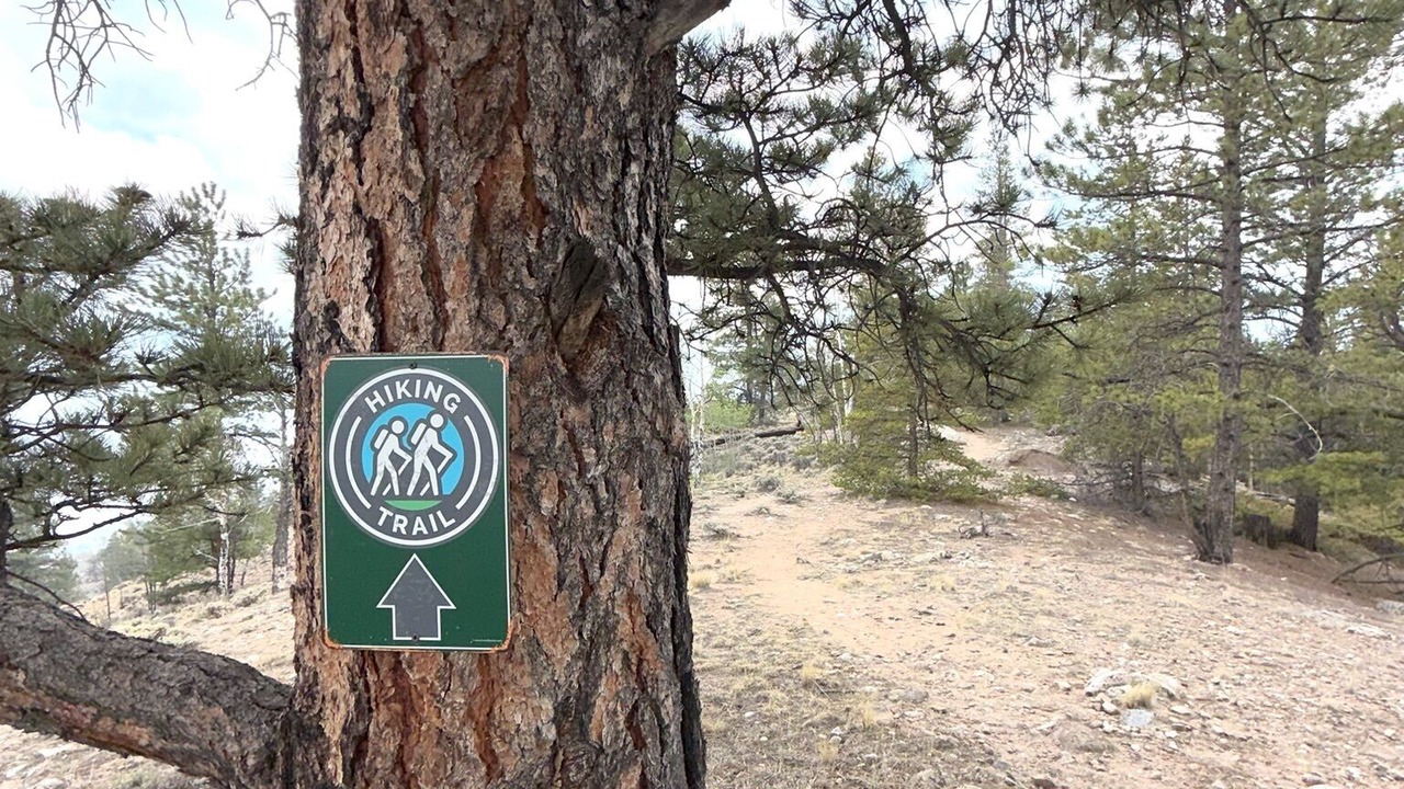 Photo of Others in Twin Lakes
