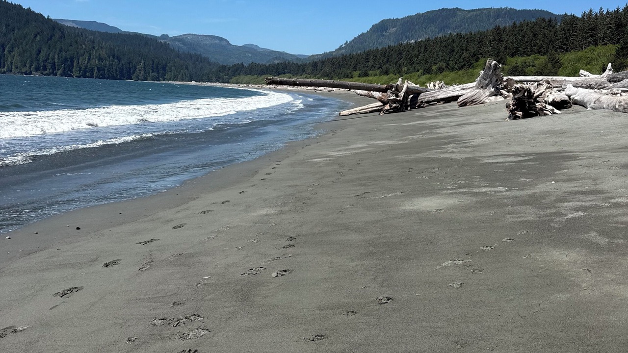 Photo of Others in Port Renfrew