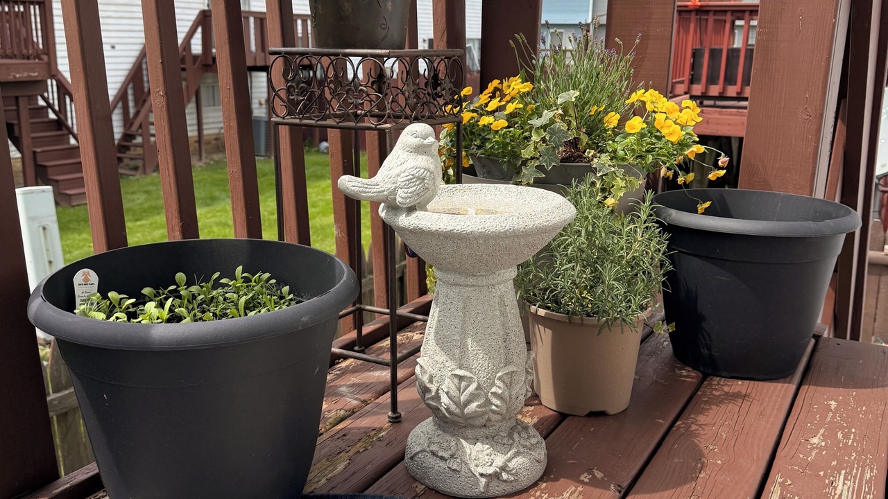 Photo of Outdoor in Painesville