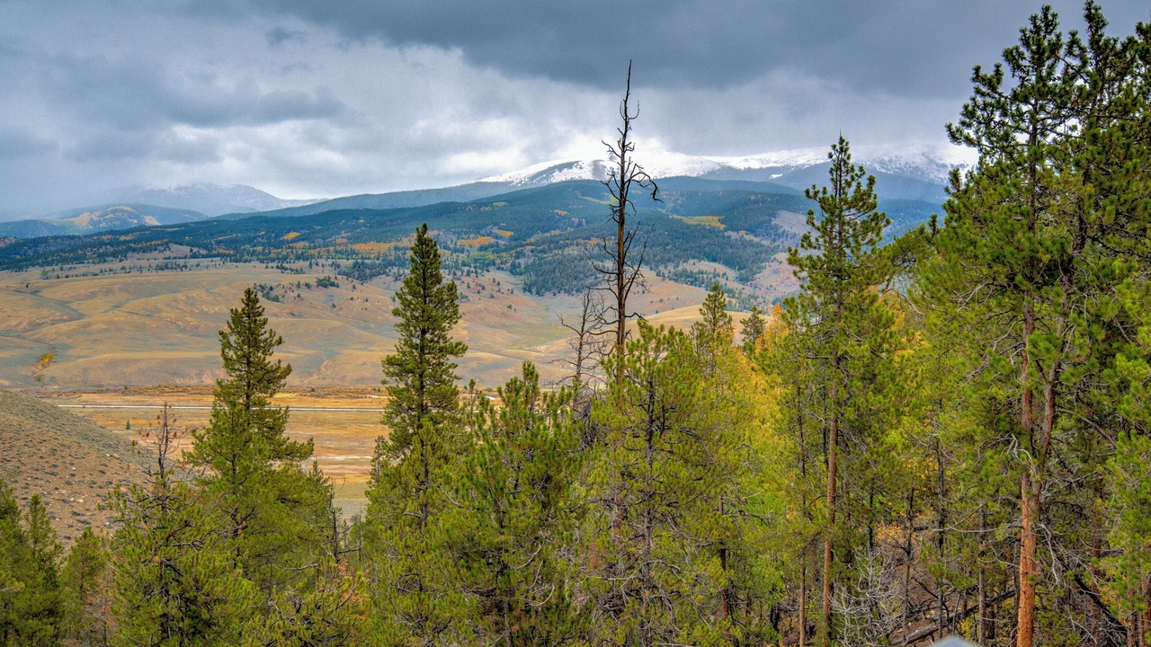 Photo of Others in Twin Lakes