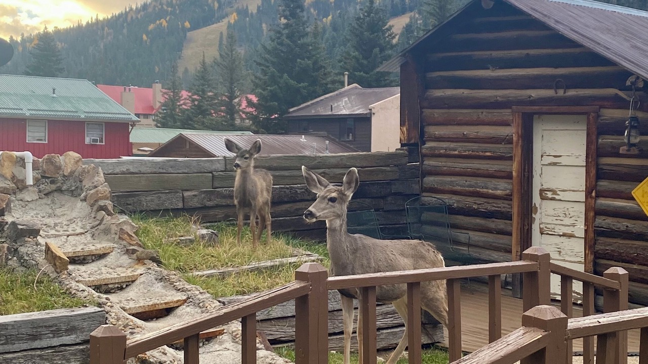 Photo of Outdoor in Red River