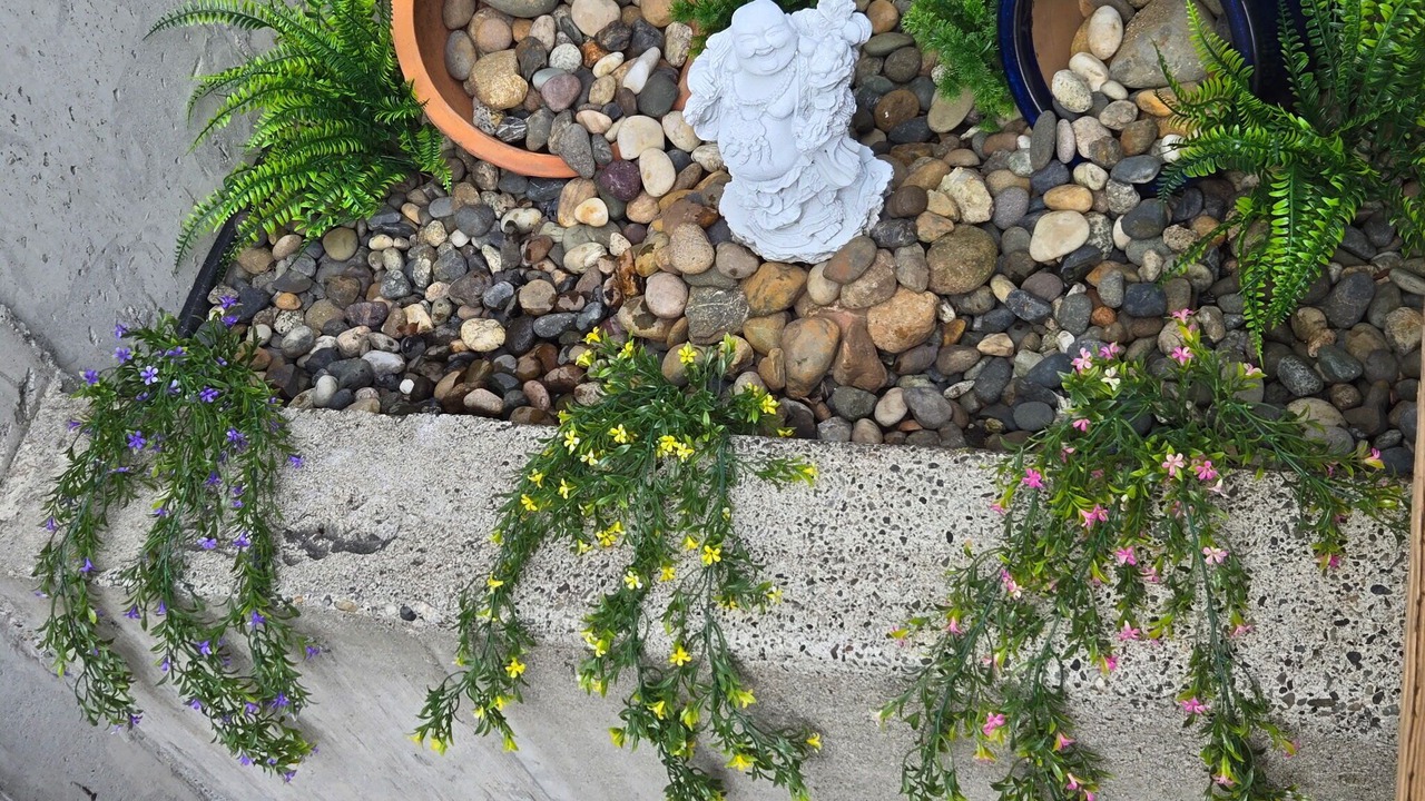 Photo of Outdoor in White Rock