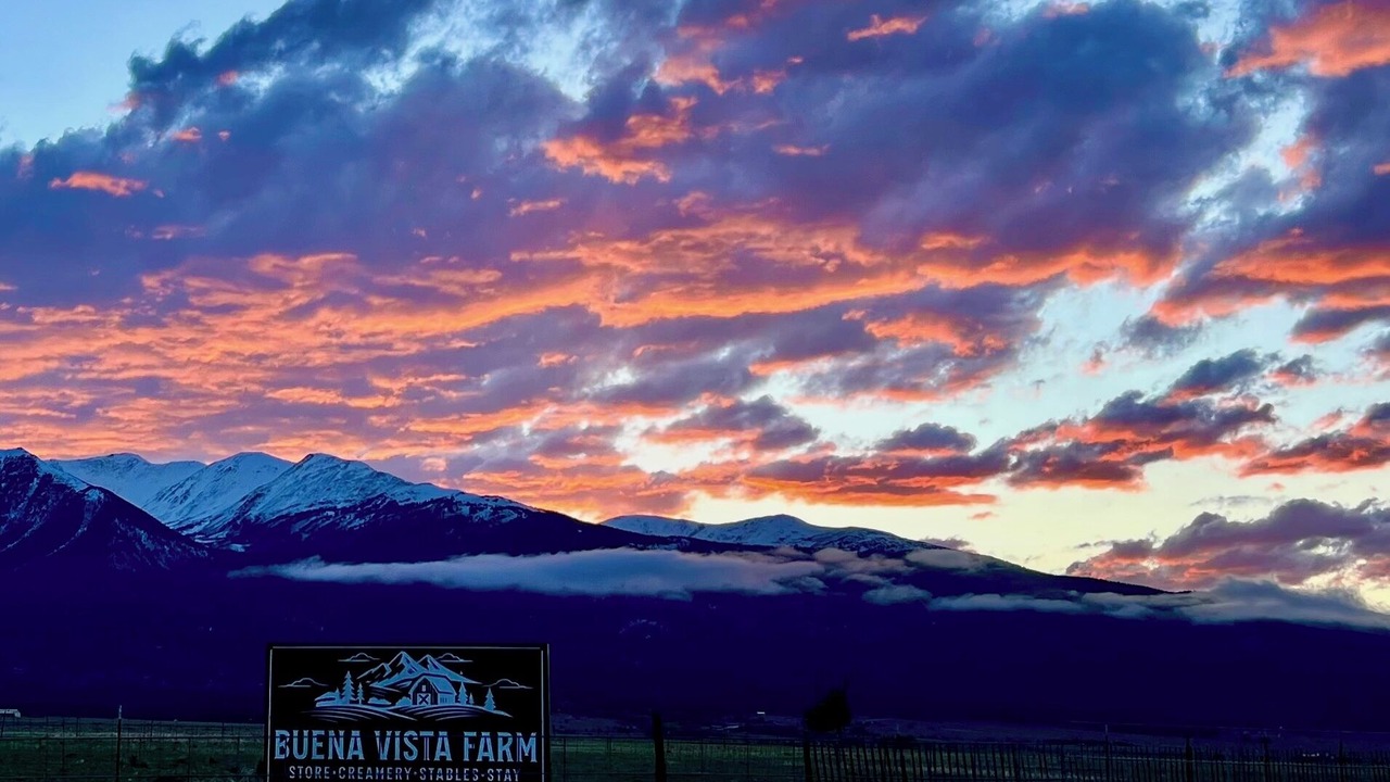 Photo of Others in Buena Vista