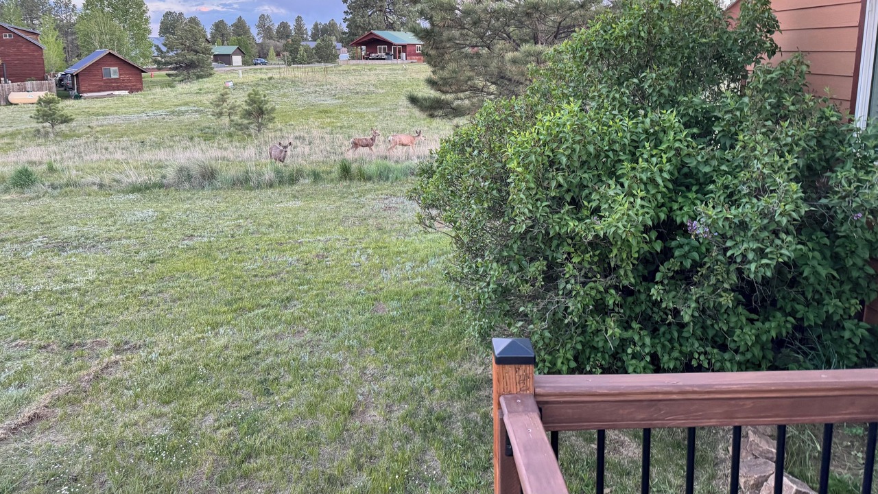 Photo of Outdoor in Pagosa Highlands