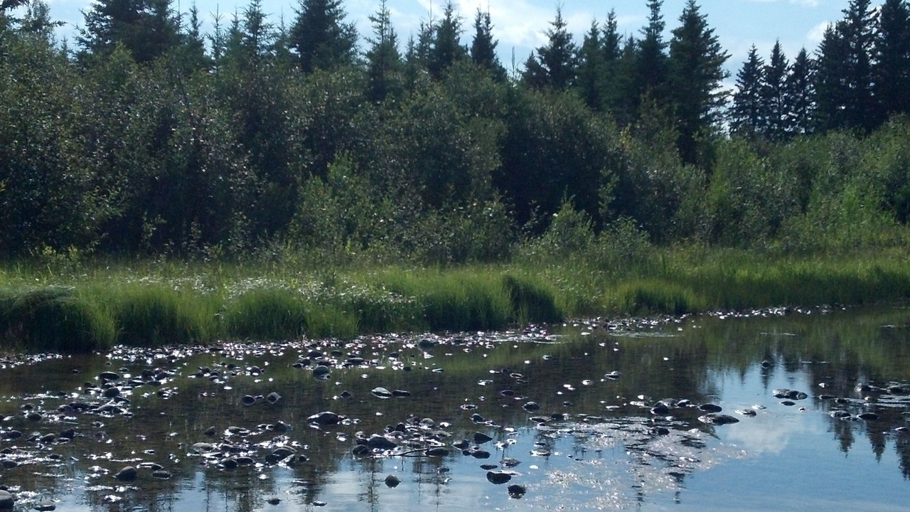 Photo of Others in Sundre
