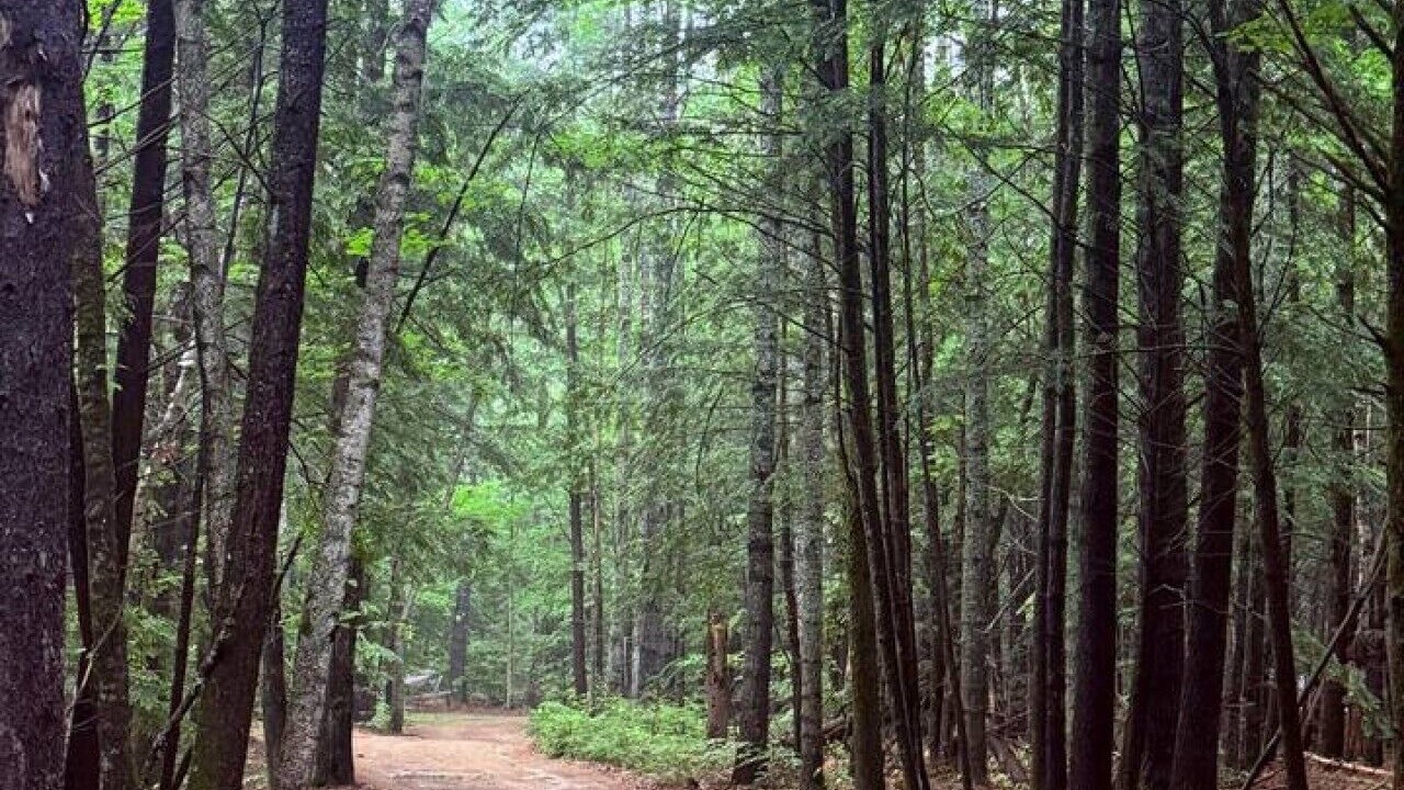 Photo of Others in Fryeburg