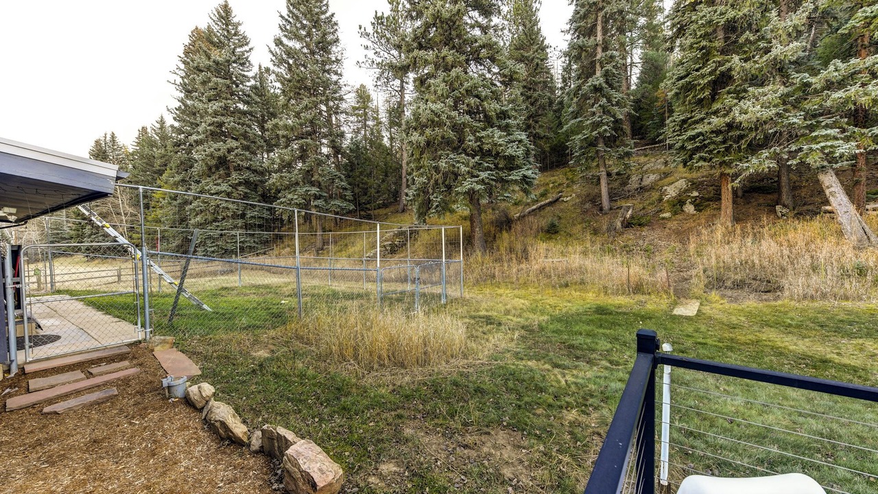 Photo of Outdoor in Evergreen