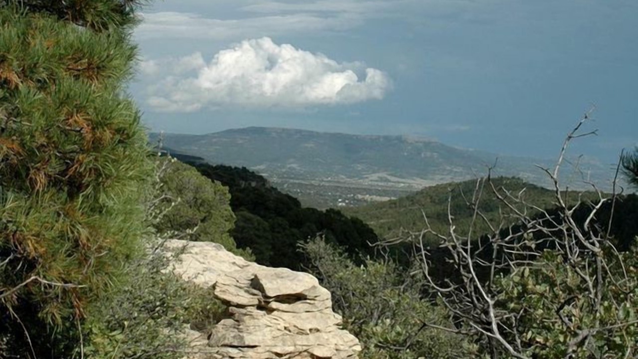 Photo of Others in Raton