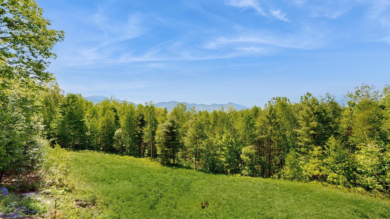 Photo of Others in Franconia