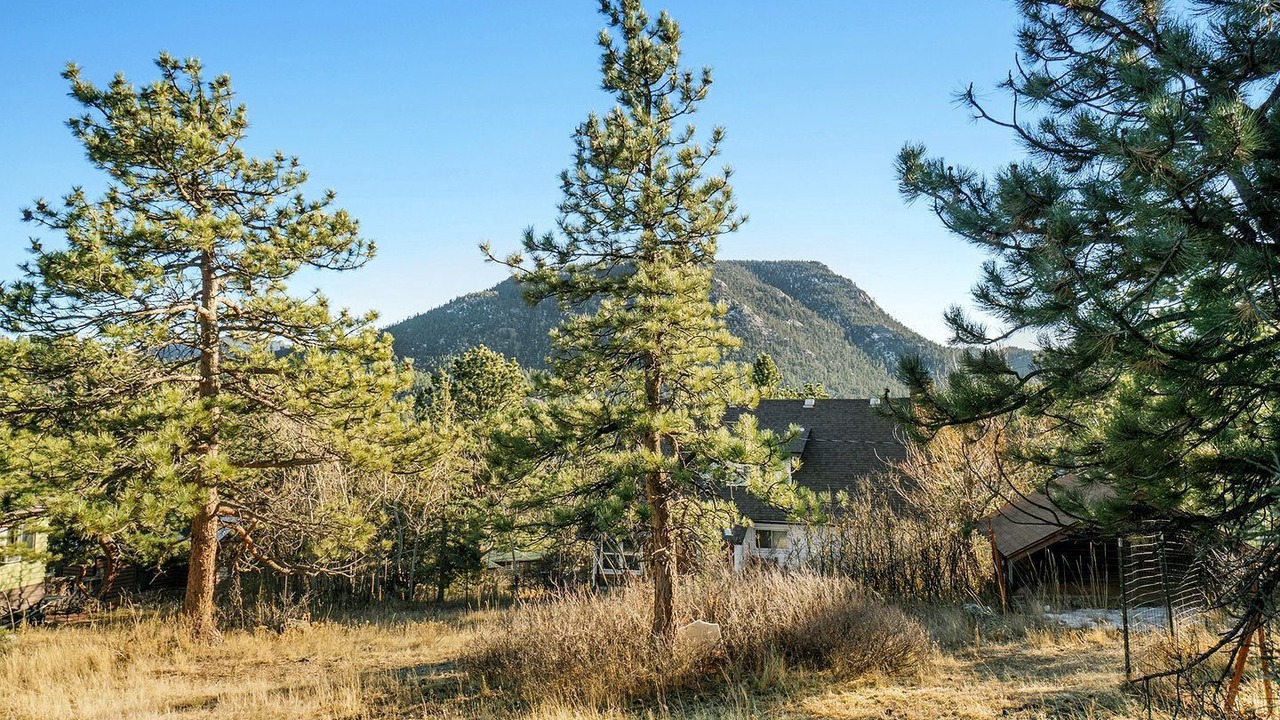 Photo of Others in Estes Park