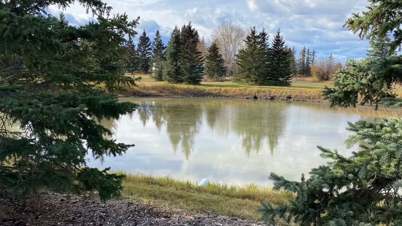 Photo of Others in Calgary