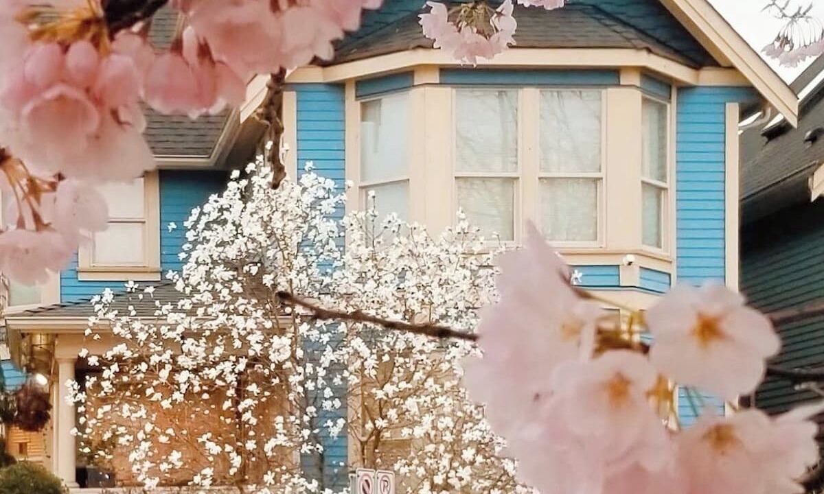 Photo of Outdoor in Hastings