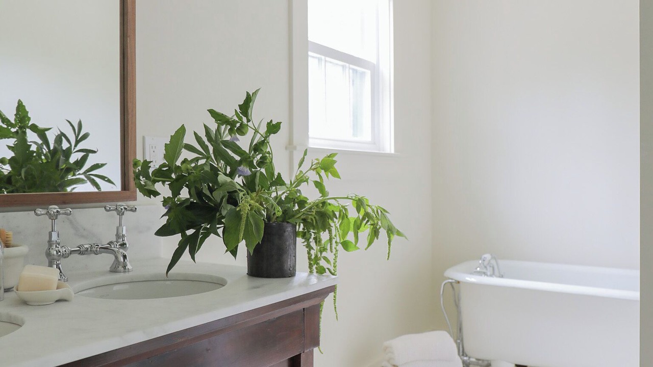 Photo of Bathroom in Bernard