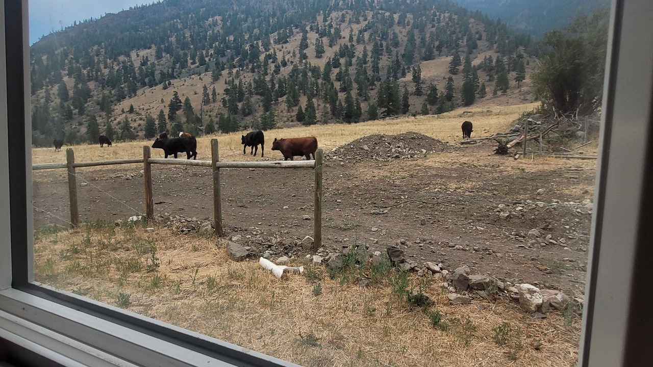 Photo of Others in Okanagan-Similkameen