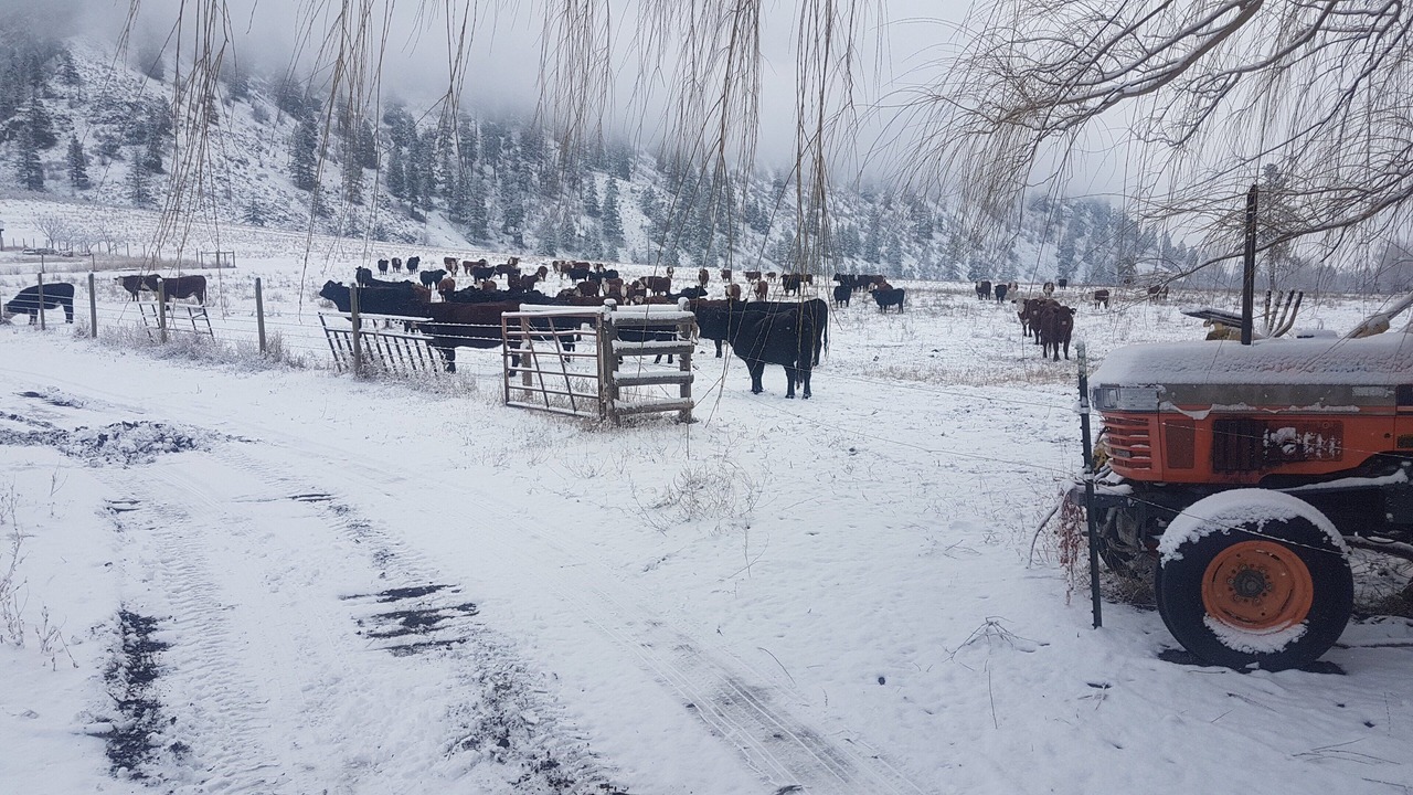 Photo of Others in Okanagan-Similkameen