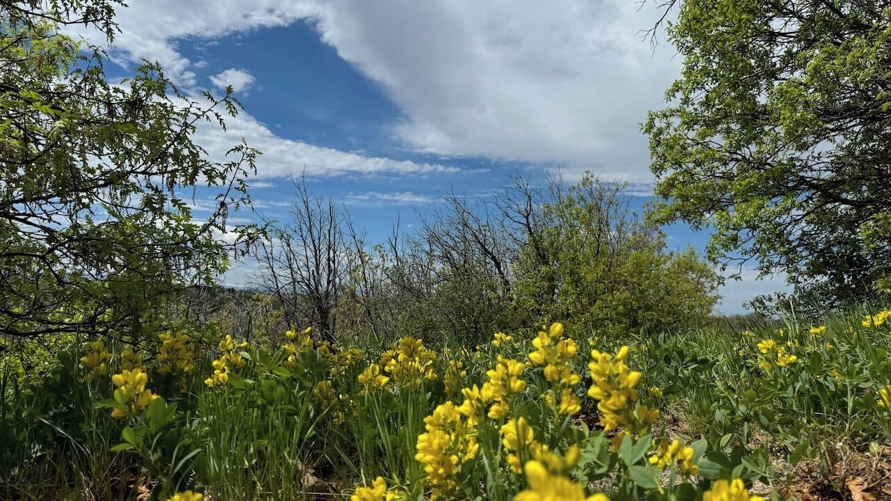 Photo of Others in Castle Rock