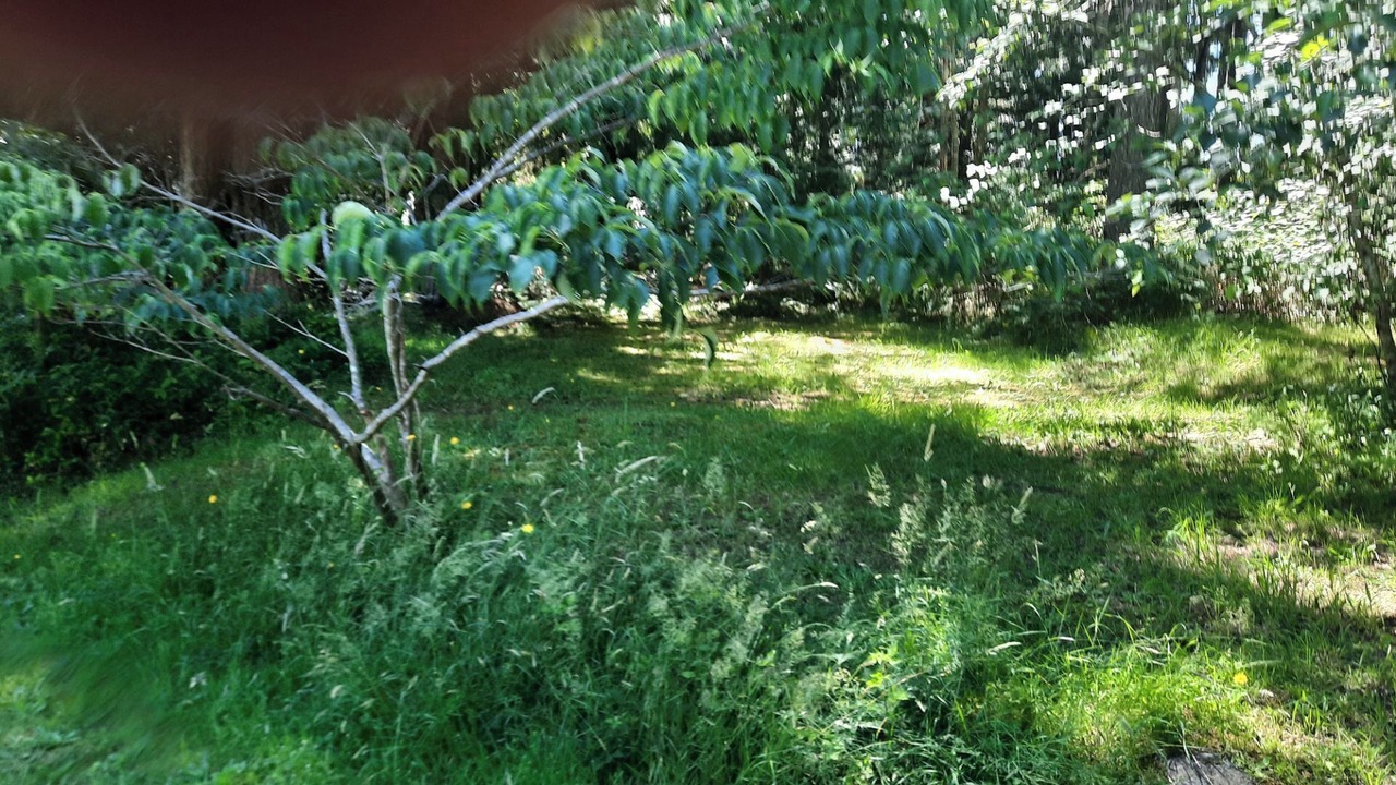 Photo of Outdoor in Brew Bay