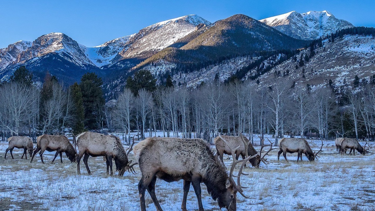 Photo of Others in Estes Park