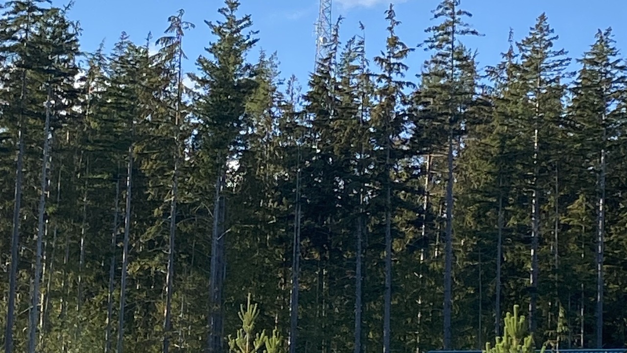 Photo of Others in Juan de Fuca Electoral Area