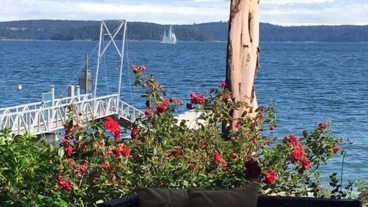 Photo of Others in North Oyster