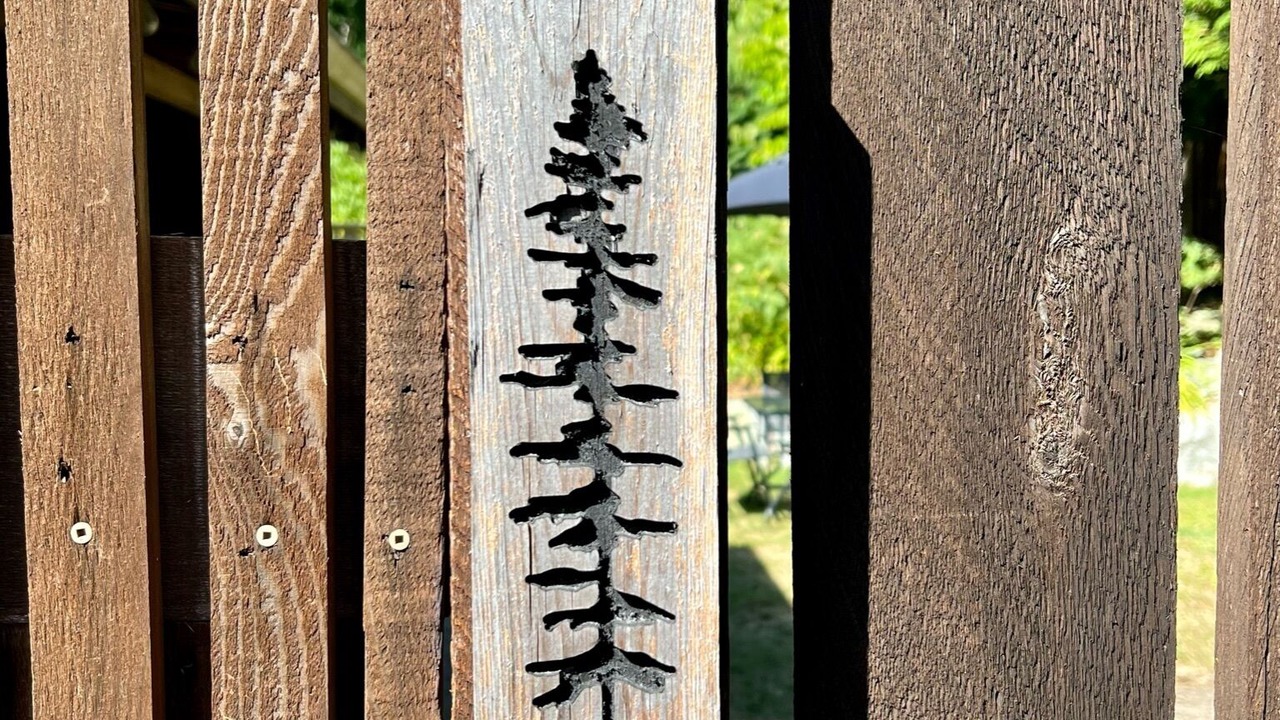 Photo of Outdoor in Shawnigan Lake