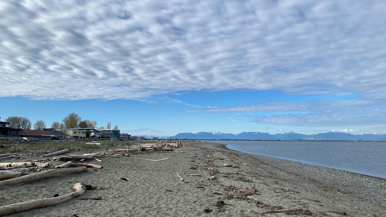 Photo of Others in Boundary Bay