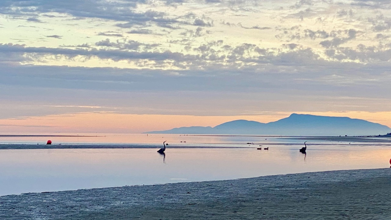 Photo of Others in Boundary Bay