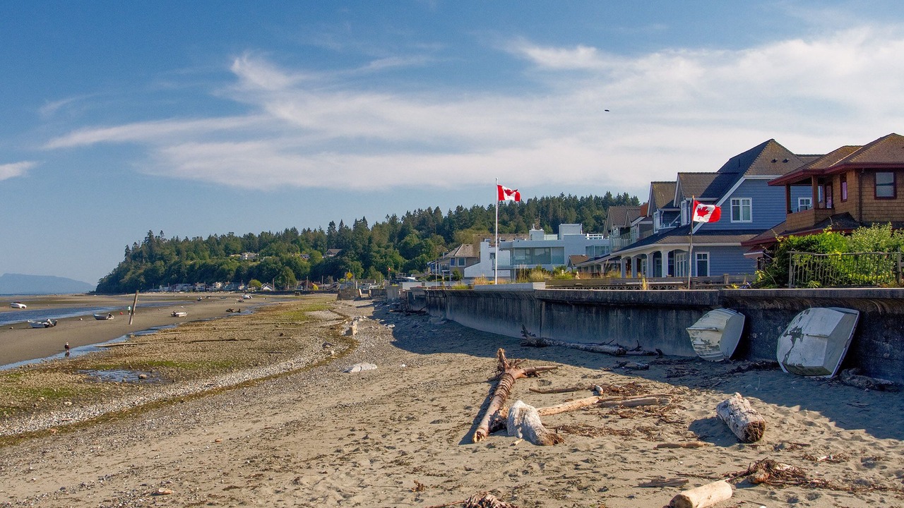 Photo of Others in Boundary Bay