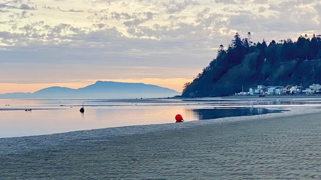 Photo of Others in Boundary Bay