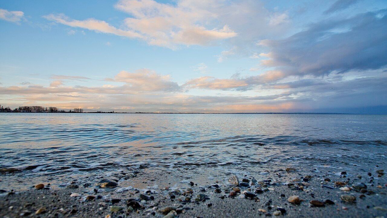 Photo of Others in Boundary Bay