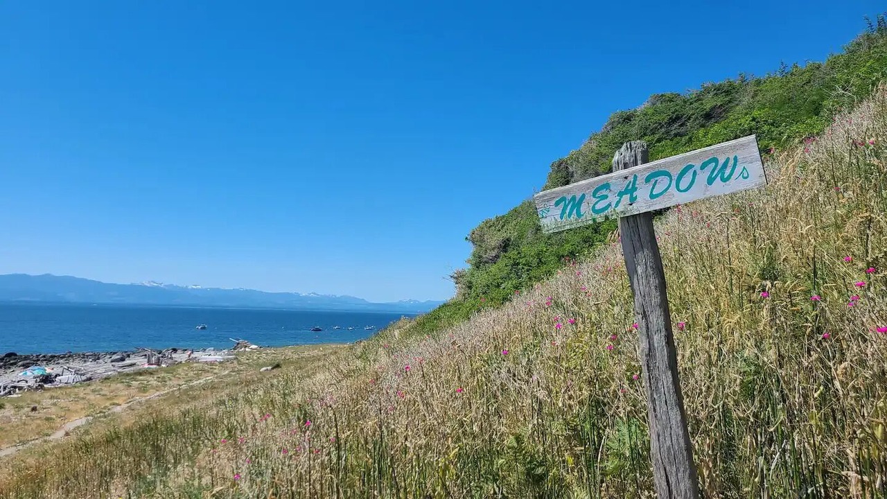 Photo of Others in Savary Island