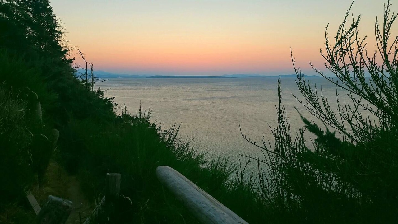 Photo of Others in Savary Island