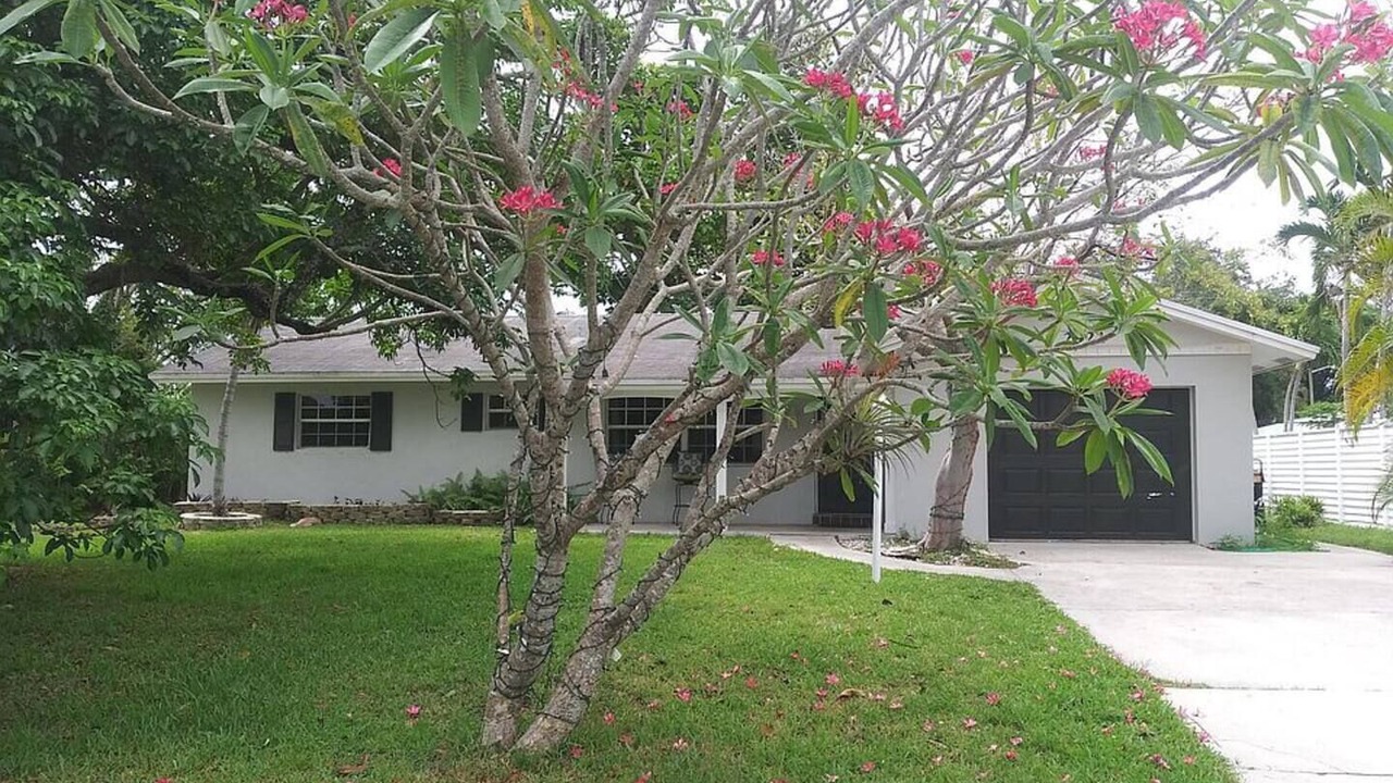 Photo of Outdoor in Tropic Palms