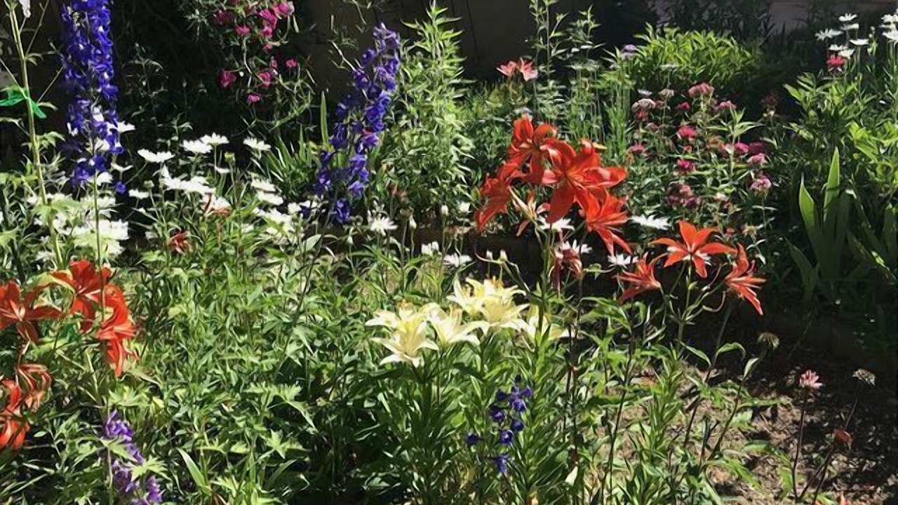 Photo of Outdoor in Taos
