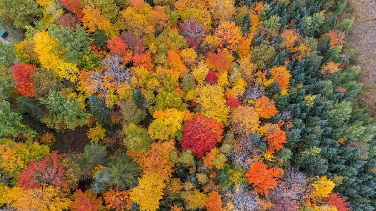 Photo of Outdoor in Twin Mountain