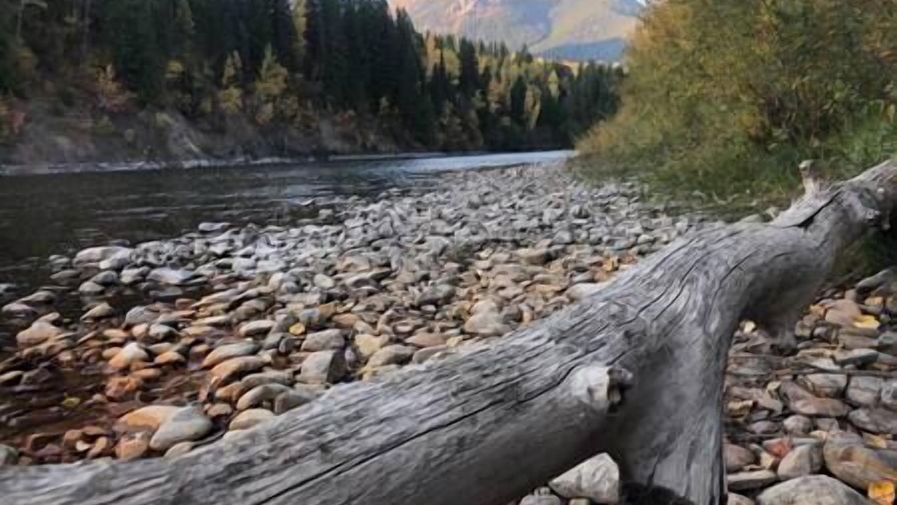 Photo of Others in East Kootenay