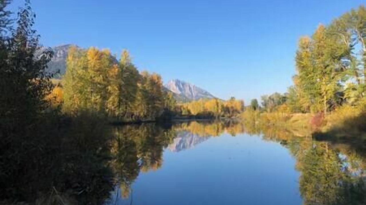Photo of Others in East Kootenay